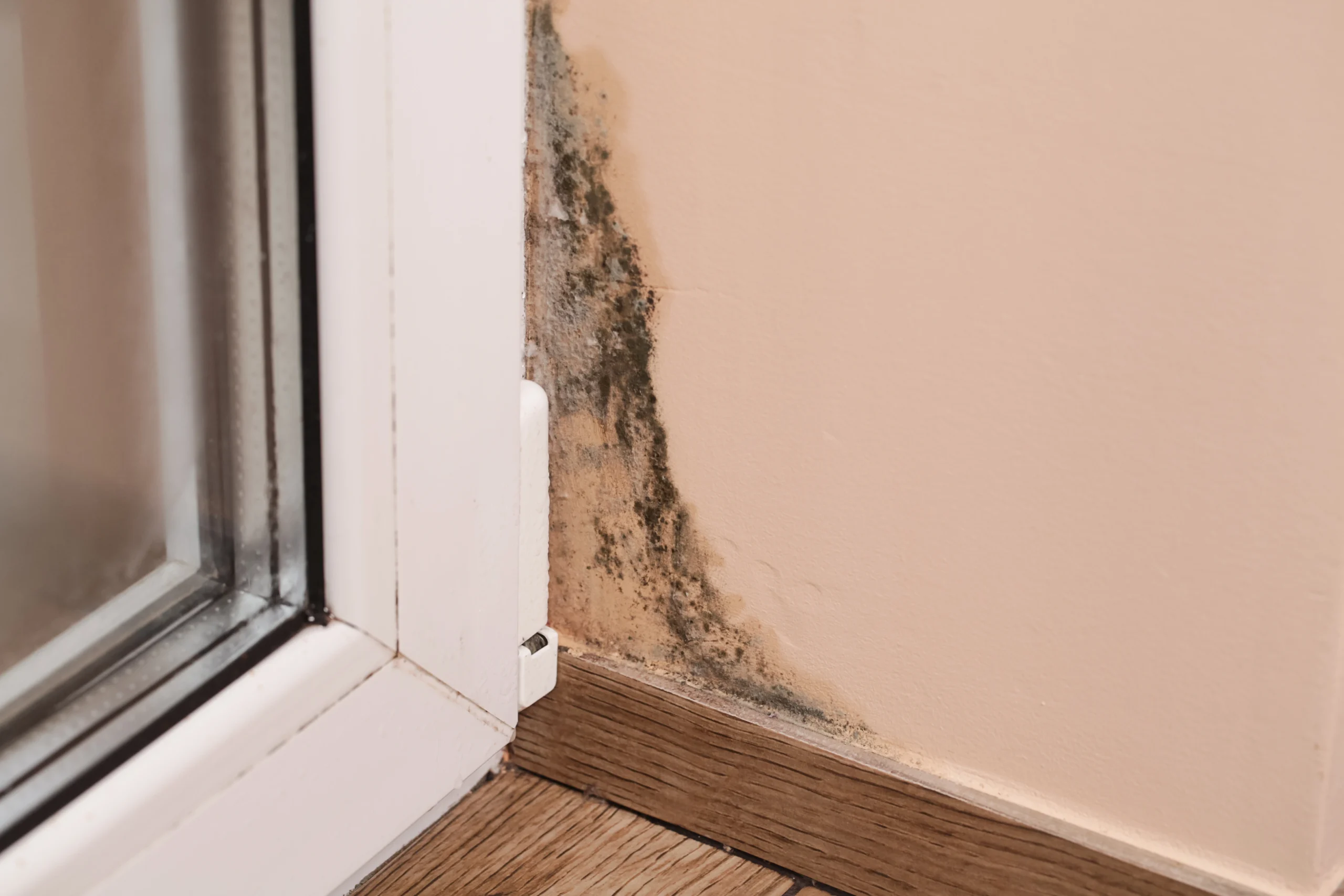 remontées capillaires