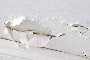 Lire la suite à propos de l’article Repeindre un mur humide : erreurs fréquentes à éviter