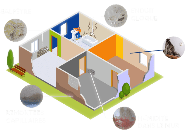 logo humidistop expertise