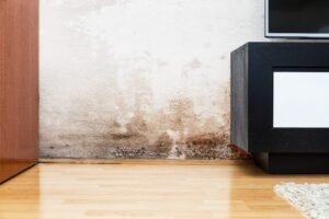 Lire la suite à propos de l’article Humidité maison ancienne ou neuve : quelles différences ?